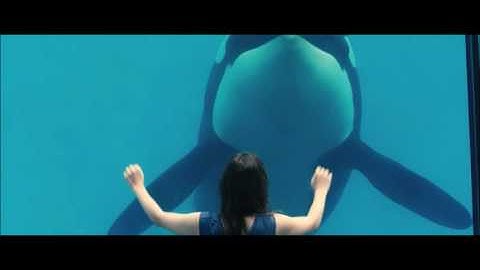 RUST AND BONE - Whale Scenes + Katy Perry