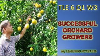 SUCCESSFUL ORCHARD GROWERS IN THE PHILIPPINES / TLE6: Agriculture Week 3 K-12 MELC Based