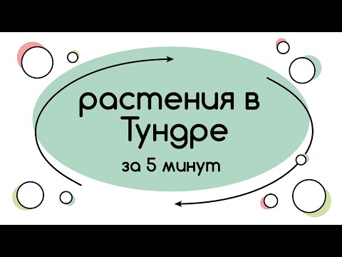 BioFamily: Растения в тундре за 5 минут (ДОСРОК 2020)