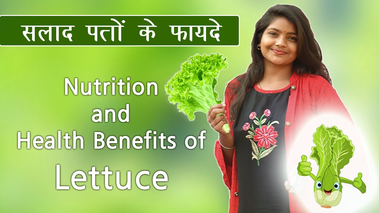 सलाद के पत्ते के फायदे Health Benefits of Lettuce Neha Sahu YouTube