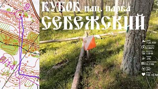 :   (headcam orienteering) -  .  "",  - 25.08.2024
