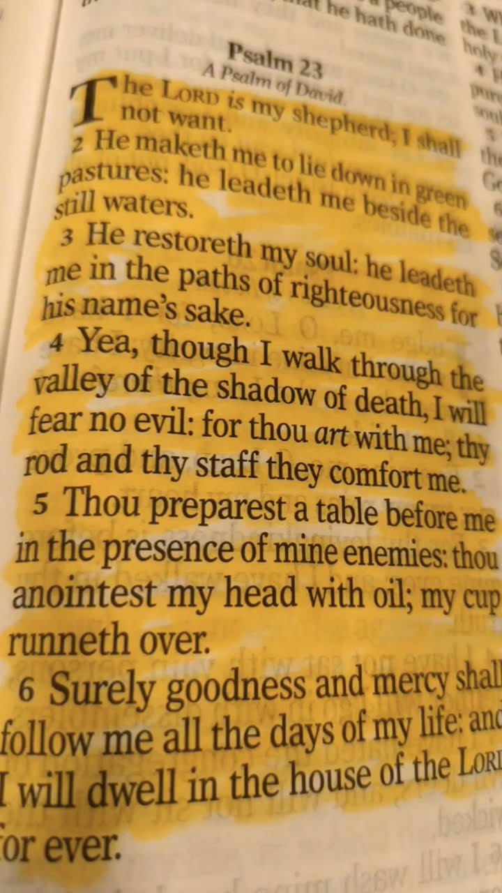 THE LORD IS MY SHEPHERD PSALM 23 VS 1 6 prayer praying fyp THE LORD IS MY SHEPHERD PSALM 23 VS 1 6 prayer praying fyp