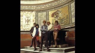 The Birds - Next In Line