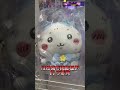 吉伊卡哇探店第十一集 西門萬年大樓 #吉伊卡哇 #chiikawa #ちいかわ #盒玩 #扭蛋 #taipei #nagano #探店 #公仔
