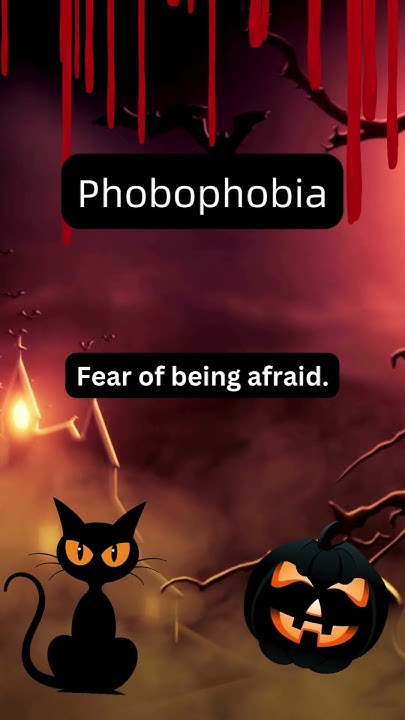 What Is Phobophobia Scary Saturday saturday scary phobia fear what-is-phobophobia-scary-saturday-saturday-scary-phobia-fear