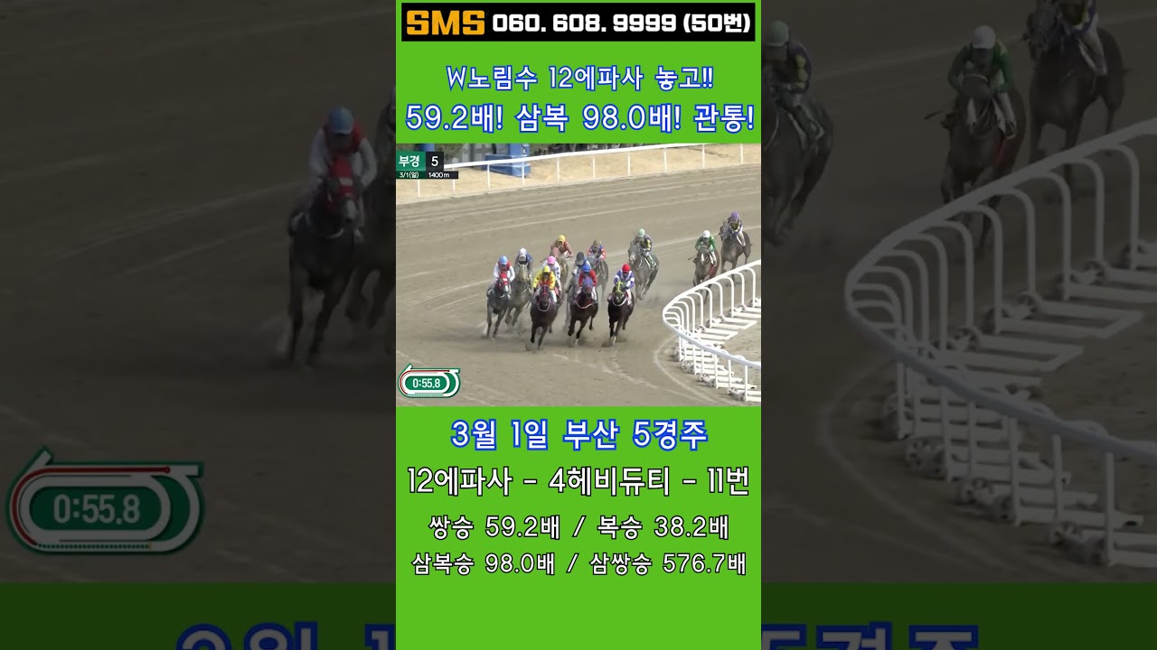 3/1(일)💣98.0배!(삼복) W노림수 12에파사 놓고! 59.2배! / 믿어지십니까? 이런게 한구라입니다. 🐎 인기1위에 쫄지마!