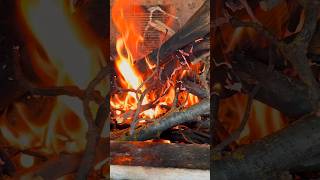 Perfect Black Angus Ribeye on Fire! 🥩🔥 #shorts #asmr #bbqmeat