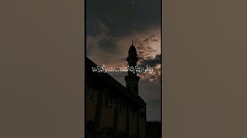 قرآن الكريم #تلاوة_خاشعة #صلوا_على_النبي #quran #فولو