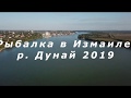Рыбалка на Дунае г. Измаил 2019