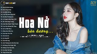 mây lấp đi cả vùng trời chói nắng... Hoa Nở Bên Đường | Ballad Việt Nhẹ Nhàng Hay Nhất Hiện Nay 2024