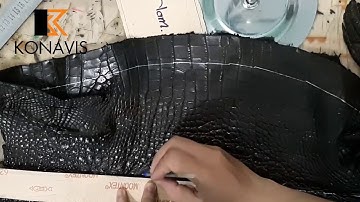 Thắt Lưng DA CÁ SẤU thật được sản xuất như thế nào ? Xưởng sản xuất thắt lưng DA CÁ SẤU KONAVIS