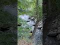 Hiking & Walking around Thale #thale #germany #hiking #walking #nature #mountains #travel #shorts