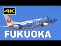 [4K] Plane Spotting at Fukuoka Airport in Japan on February 16, 2021 / 福岡空港 / Fairport