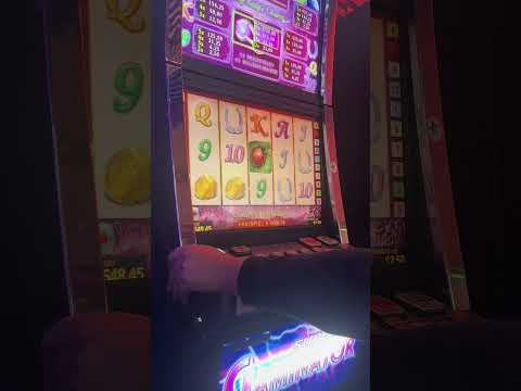 Spielen Sie im Online-Casino ohne Einzahlung: Verwenden Sie den exklusiven Lucky Hunter Promo Code