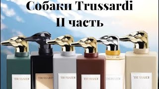 видео: Бутиковая линейка Trussardi pt.2 💋 подводим итоги 🫶🏻 картинка: Бутиковая линейка Trussardi pt.2 💋 подводим итоги 🫶🏻