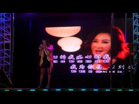 歌星：陈美秀：歌曲：梦醒不了情。