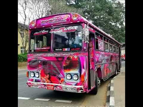 Ep bus pissa