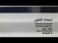 Asmaa Lmnawar ...Aando el zin ( instrumental ) اسماء لمنور ... عندو الزين " ايقاع حصري