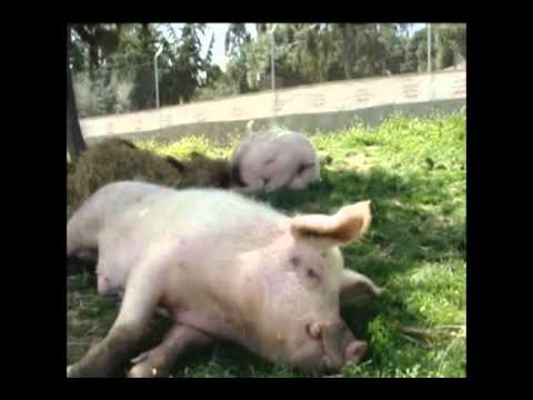Existe un lugar,... farmers insurance
