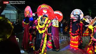 Kartonyono Medot janji=Voc DEVI  =COVER JARANAN TKP SHOW 1277 LIVE NGROBYONG Kec NGLEGOK 2019