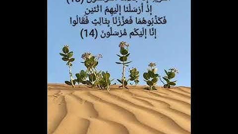 واضرب لهم مثلاً أصحاب القرية إذ جاءها المرسلون#تلاوة للقاريء الشيخ#إدريس_أبكر من#سورة_يس