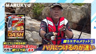 付けエサ解説編~「ニューチヌパワーダッシュ」を駆使して、岡山県日生の腹パンチヌ攻略