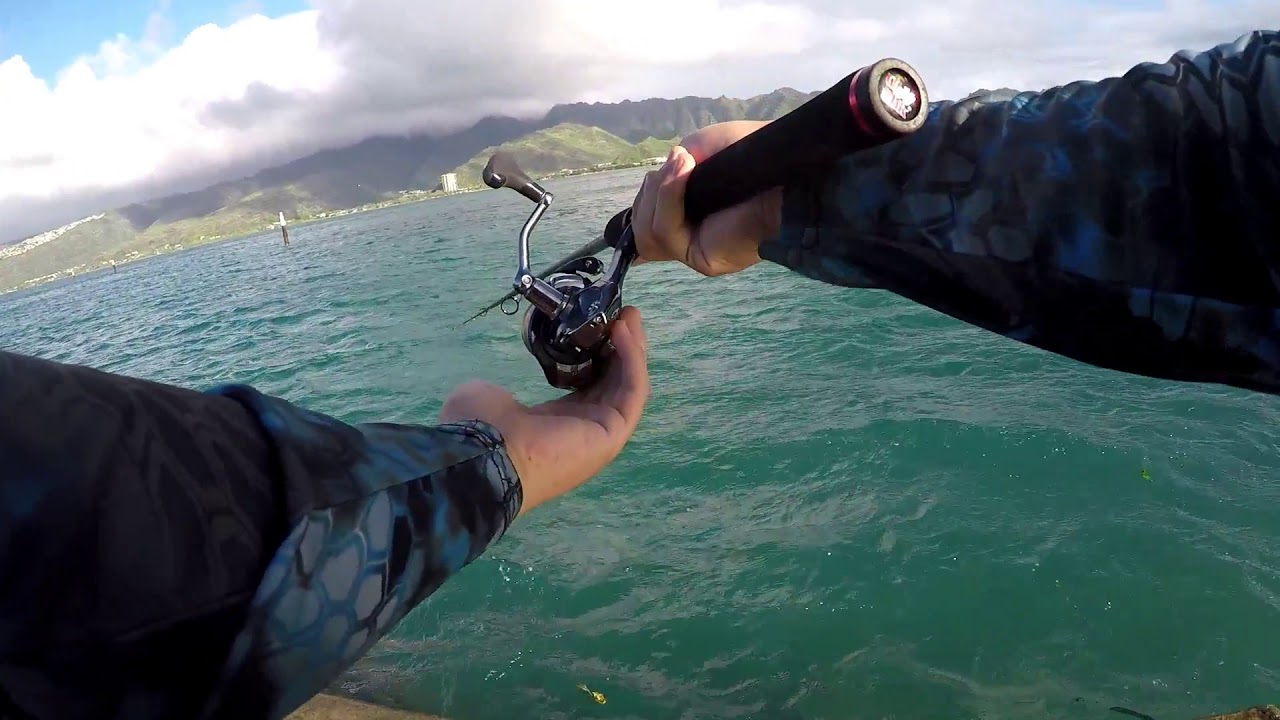 Inshore Fishing Oahu YouTube