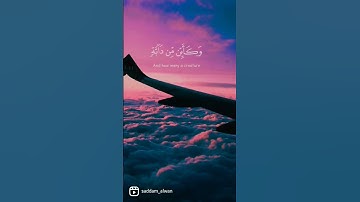 ﴿ٱلَّذِینَ صَبَرُوا۟ وَعَلَىٰ رَبِّهِمۡ یَتَوَكلونَ﴾ القارئ عبدالرحمن مسعد #quran #حالات_واتس #قرآن