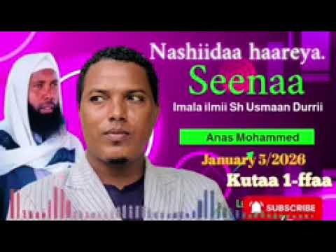 NEW NASHIIDAA HAARAYA ANAS MUHAMMAD MAJLISA DAARUL ULUUM SENAA SHEEK USMAAN DURRII 