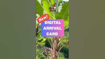 INDONESIA ARRIVAL Card 🇮🇩 #shorts