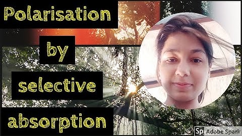Polarisation by selective absorption ( branch of optics) bsc 2nd year