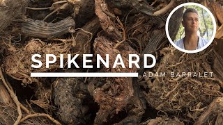 Spikenard - The Oil of the Divine Gateway