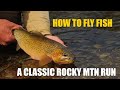 How to fly fish a classic rocky mountain run
