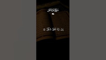 #قرآن #quran #راحة_نفسية #خشوع #قرآن_كريم #تلاوة_خاشعة #تلاوة #peace #القرآن #اسلاميات
