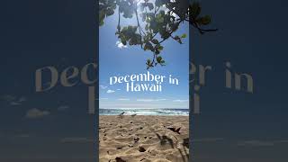 December in Hawaii 🎄🌴 | Christmas & Holidays in Paradise