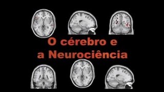 EVS  O Cérebro e a Neurociência