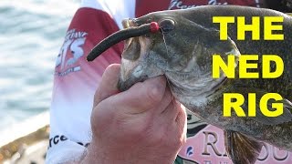 How To Fish The Ned Rig B Fishing