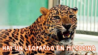 6 encuentros inesperados con animales salvajes - Hey Arnoldo