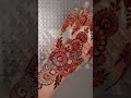 Untitled video