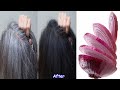 White Hair To Black Hair Naturally in Just 4 Minutes Permanently ! 100% Works !! Pure Beauty Tips