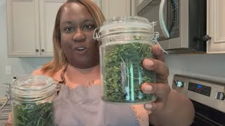 Freeze Drying | Cilantro From the Garden to Table