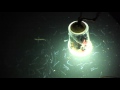 自作の集魚灯- 効果テスト1回目