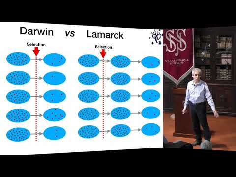 Video: Modelli Di Cancro, Instabilità Genomica Ed Evoluzione Darwiniana Cellulare Somatica