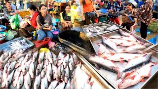 ตลาดอาหารทะเลกัมพูชา. กุ้งน้ำจืด กุ้งก้ามกราม ปลา ปู หอยทาก l ตลาดปลากัมพูชา