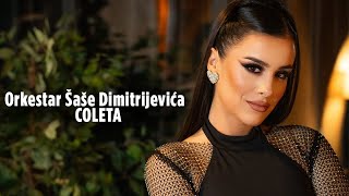 Orkestar Sase Dimitrijevic - Coleta Prosjak Cover