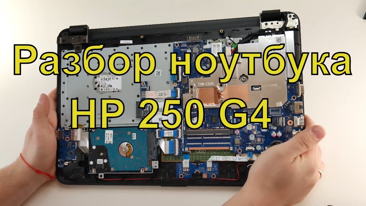 Ноутбук Hp 3168ngw Купить