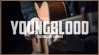 YOUNGBLOOD - 5 Seconds of summer | Fingerstyle Guitar VeryNize