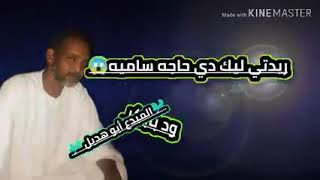 حالة واتس ابو الساره