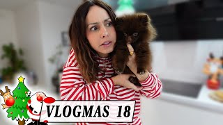 Vlogmas 18 Quelle Coquinette