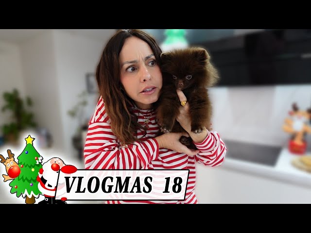 VLOGMAS 18 : QUELLE COQUINETTE !